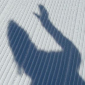 Meet your Posher, Colby